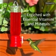 thumbnail image 5 of Pennington Ready-to-Use Ultra Hummingbird Nectar Food, No Artificial Dye, 64 oz Liquid, 1 Pack, 5 of 10