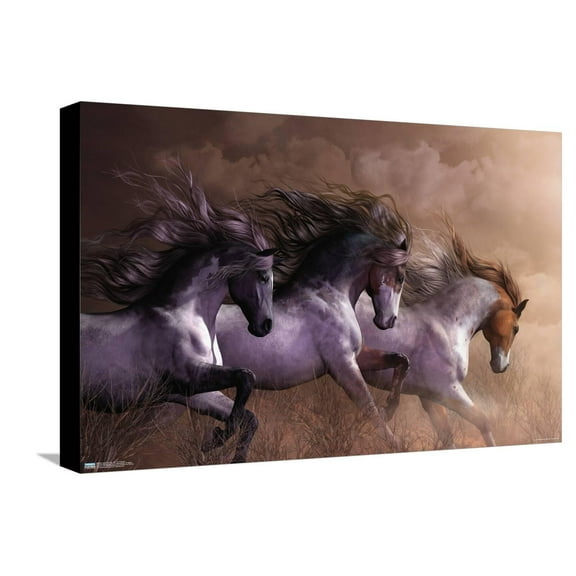 Laurie Prindle - Run To Freedom Canvas Wall Poster, 14.725" x 22.375"