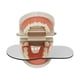 thumbnail image 5 of Seitruly 5 unids/set Universal de vidrio reflectante para , Reflector de espejo intraoral, espejos para la salud de la boca, accesorio de cuidado de los oídos, 5 of 6