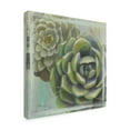 thumbnail image 2 of Trademark Fine Art 'Succulents II' Canvas Art by Wellington Studio, 2 of 3