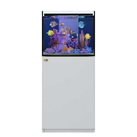 37 Gallon Coral Reef Aquarium Fish Tank Ultra Clear Glass with Built-in Sump
