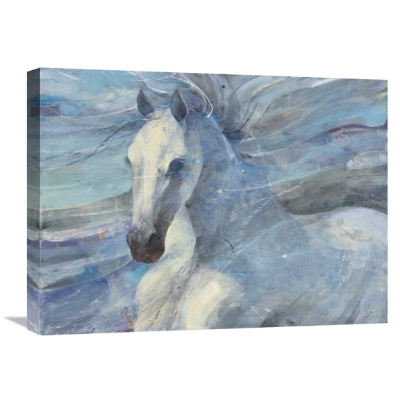 Global Gallery Albena Hristova 'Poseidon' Canvas Wall Art
