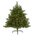 thumbnail image 2 of 4ft. Wyoming Mixed Pine Artificial Christmas Tree with 250 Clear Lights and 462 Bendable Branches, 2 of 7