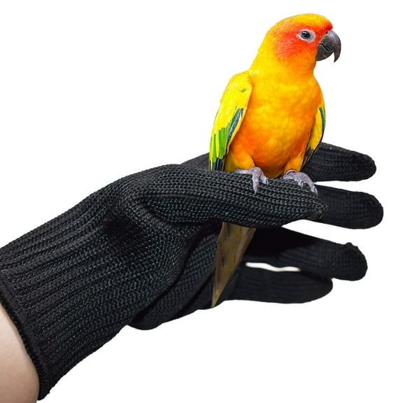Bird Training Anti- Bite Gloves, Protective Parrot Chewing Gloves Animals Handling Gloves Chewing Protective Gloves