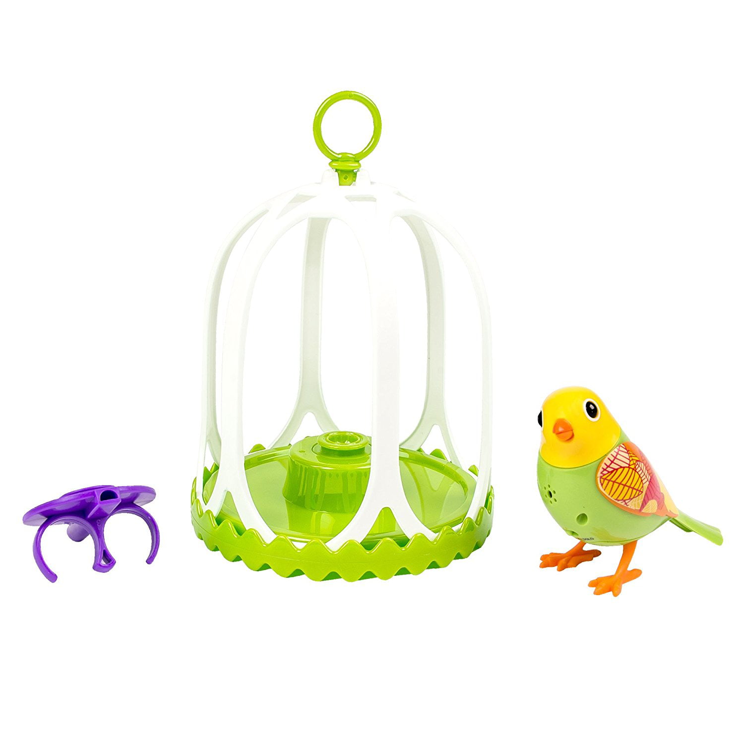 Songbird 1 Bird Water Whistles Musical toy for kids 100% real bird singing Songbirds 