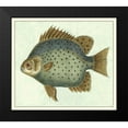thumbnail image 2 of Vision Studio 13x12 Black Modern Framed Museum Art Print Titled - Butterfly Fish II, 2 of 5