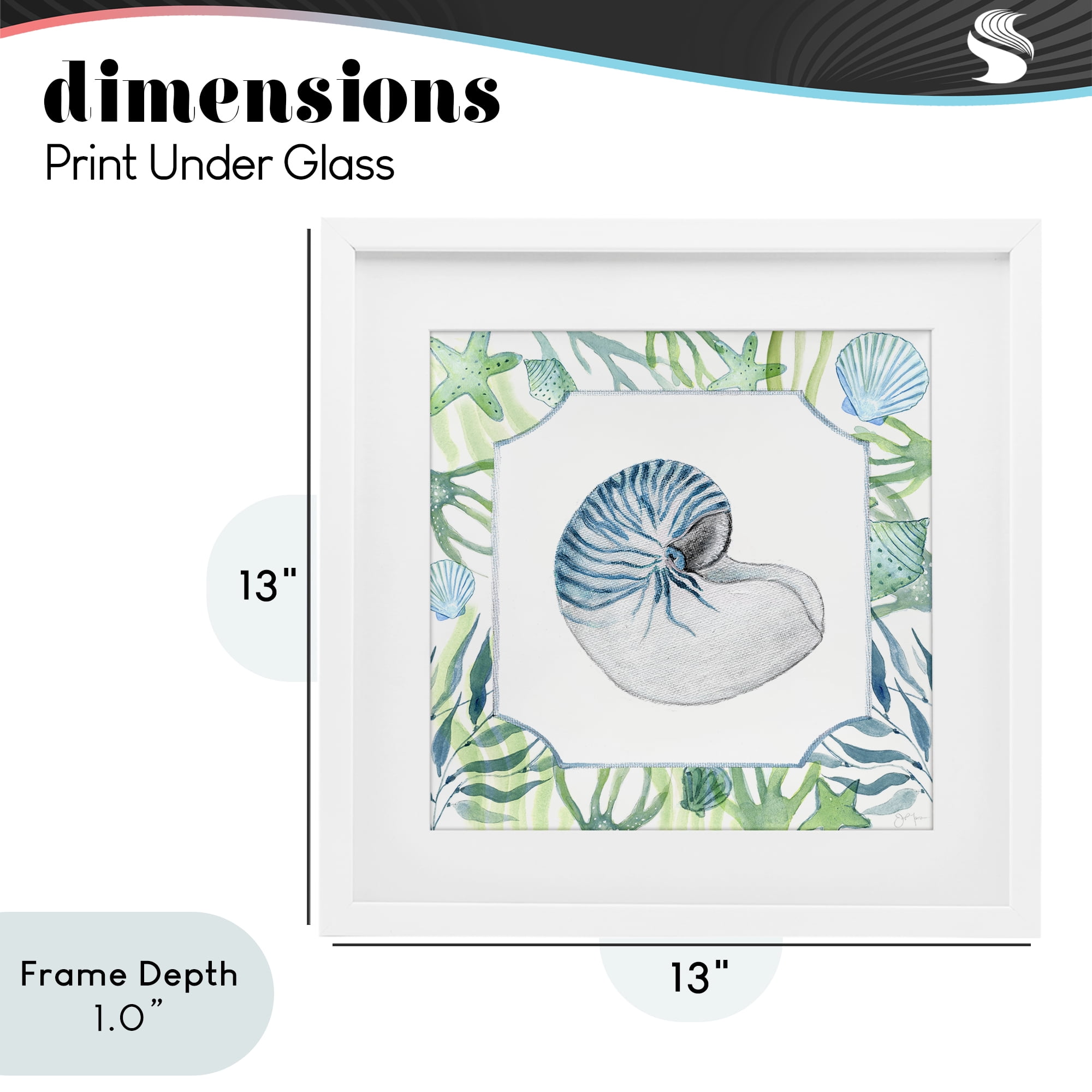 Stupell Industries Seaweed & Seashells Aquatic White Framed Print Under Glass, design by Janet Tava