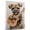 Alaskan Klee Kai, variant on Tibetan Spaniel Dog Playing Ukelele Wall Stretched Canvas Size 8x12 – Tibetan Spaniel Canvas Art for Dog Lovers, Ukelele Canvas Wall Decor