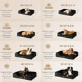 thumbnail image 2 of Orthopedic Dog Bed for Small Dogs, Waterproof Memory Foam Small Dog Beds with Sides, Non-Slip Bottom and Egg-Crate Foam Medium Dog Couch Bed with Washable Removable Cover,Black, 2 of 17