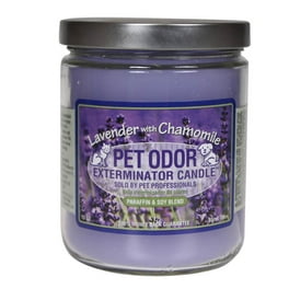 Pet Odor Exterminator Candle Orange Lemon Splash Jar 13 oz Walmart