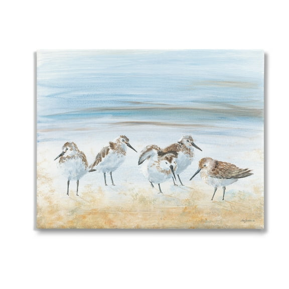 Stupell Industries Summer Sandpipers on Shore Animals & Insects Painting Gallery Wrapped Canvas Art Print Wall Art, 20 x 16