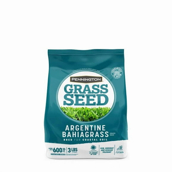 GRS SED BAHIA FLL SUN 3#(Pack of 1)