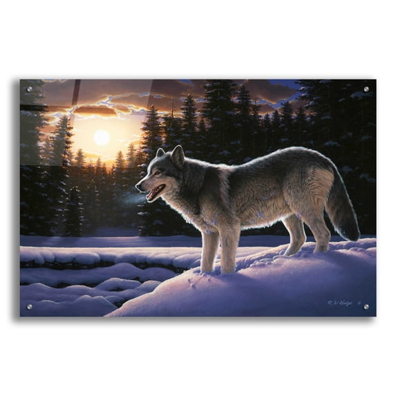 Epic Art 'New Trail' by R. Hed, Acrylic Glass Wall Art, 36"x24"