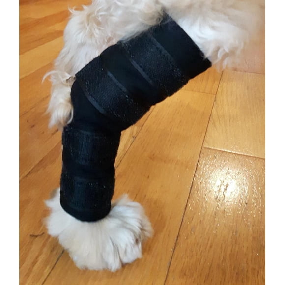 Soutien thérapeutique jarret de sapin Vet Therapy pour petits chiens