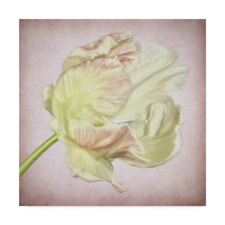 3 Arm Tulip - Trademark Fine Art 'Pink Parrot Tulip Painting Iii' Canvas Art by Cora Niele