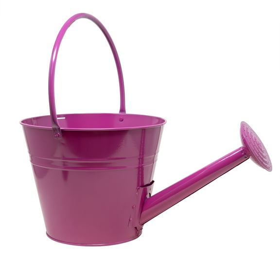 Very Cool Stuff Metal Watering Can Planter, Fuchsia
