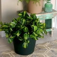 thumbnail image 5 of The HC Companies 24 Inch Indoor/Outdoor Classic Flower Pot Planter, Slate Blue, 5 of 7