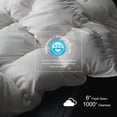 thumbnail image 4 of Royoliving Premium Feathers Down Duvet Insert Comforter Queen Size All Season Medium Warmth White 100% Cotton Cover with Corner Tabs (90x90, 50 oz), 4 of 7