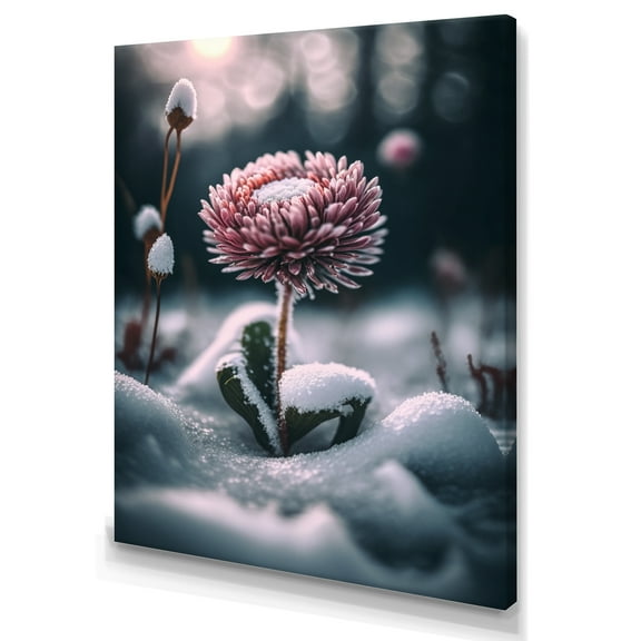 Designart A Blooming Pink Daisy Flower In Winter III Canvas Wall Art