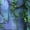 Color 3, variant on Peel and Stick Wallpaper Ivy Vines Rustic Vintage Blue Stone Wall Vibrant Forest Nature Wall Mural 17.7in x 9.8ft Self Adhesive Removable Wall Paper for Nursery Bedroom Cabinets
