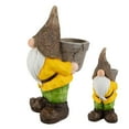 thumbnail image 1 of POLYRESIN GARDEN GNOME HOLDING PLANTER, 1 of 1