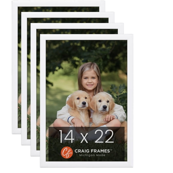 Craig Frames Contemporary White Satin Picture Frame, Set of 4