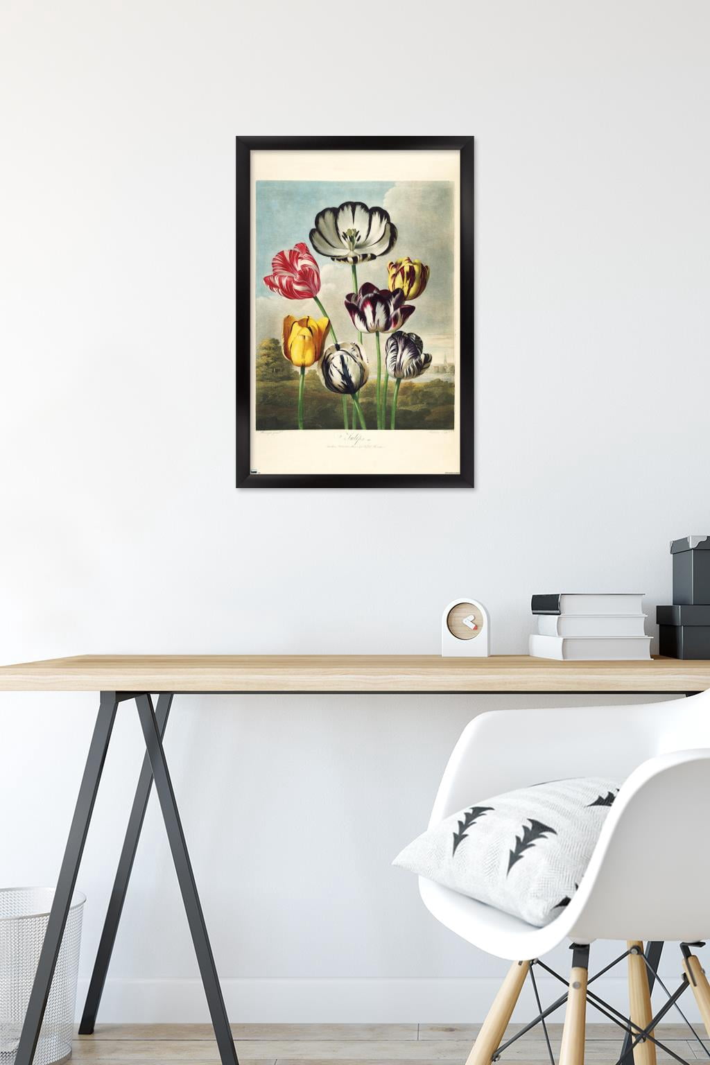 Tulips from the The Temple of Flora Wall Poster, 14.725" x 22.375" Framed