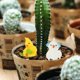 thumbnail image 2 of KAKOWELY 12 figuras de pájaros en miniatura, pequeños adornos de pájaros, mini pájaros de resina, decoración para micropaisajes., 2 of 4