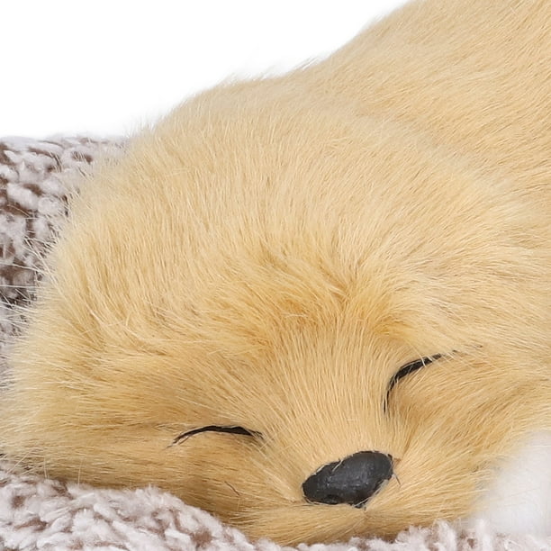 Perro Salchicha Peluche Almohada Realista Para Perros Peluche 3D