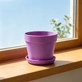 thumbnail image 3 of TUITOONM Mini Plastic Flower Pots with Saucers 4-Inch Colorful Meaty Planters for Home & Office Small Modern Decor with Drainage Holes, 3 of 5