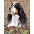 thumbnail image 1 of Carolines Treasures SC9048GF Springer Spaniel Flag - Garden Size, 1 of 3