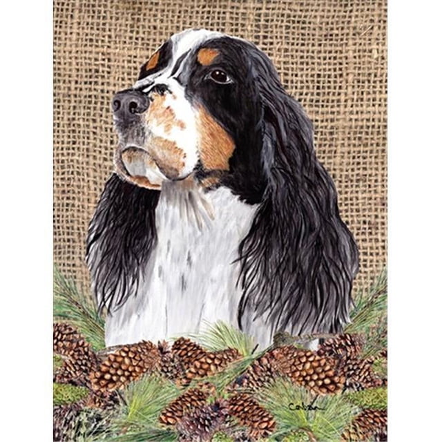 Carolines Treasures SC9048GF Springer Spaniel Flag - Garden Size