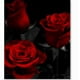 Rideau de Douche 180cm Fleur Résistant à l'Eau Tissu Polyester Long Large 12 – image 2 sur 5