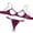 RD2, variant on Sexy Underwire Floral Lace Sheer Lingerie Set Outfits For Women See Through Bra And Panty 2 Piece Mesh Bodysuit for Women Sexy Lingerie