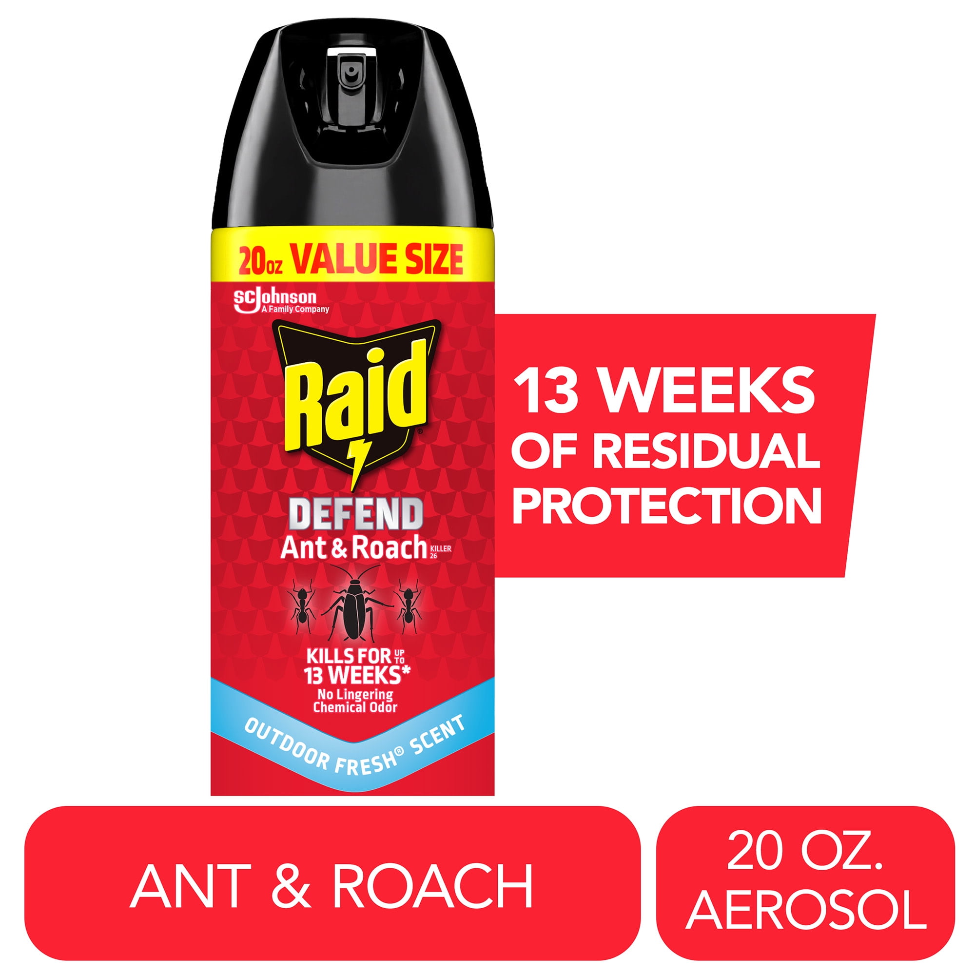 Raid Indoor & Outdoor Bug Spray, Multi Insect 7, Kills Spiders