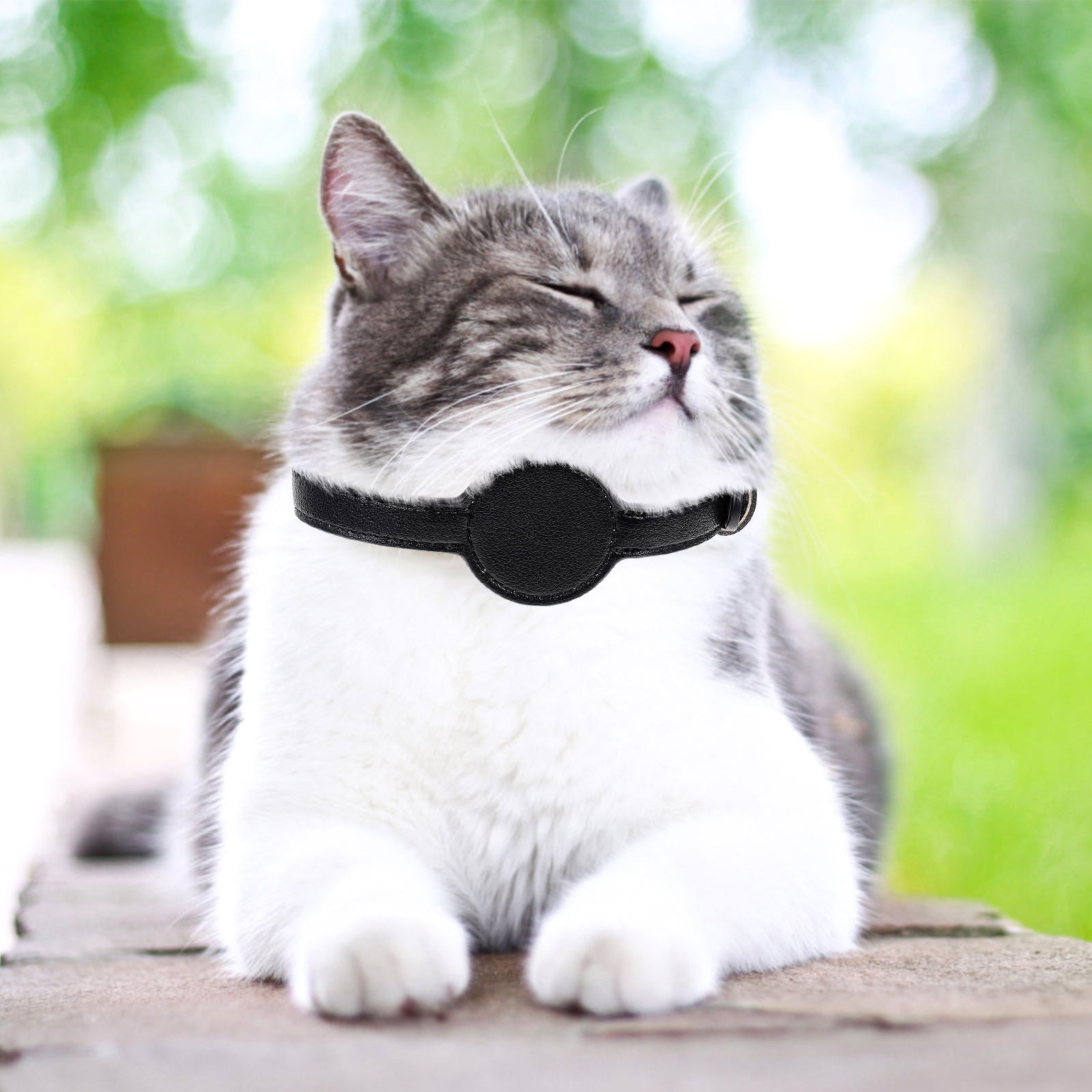 HONMEET Black PU Cat Adjustable Lightweight Comfortable Outdoor Kitten Collar with Pet Tracker Storage Holder