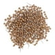 thumbnail image 4 of 800pcs Patchwork Craft Beads Head Pins Quilting Tool Accesorios de Alfileres de, 4 of 9