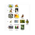 thumbnail image 2 of Pet Parrot Bird Harness Leash Adjustable Bird Flying Harness Traction Rope With Cute Wing For Parrots Pigeons Budgerigar Lovebird Cockatiel Mynah Outd, 2 of 4