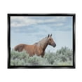 thumbnail image 3 of Stupell Industries Stallion Horse Among Bushes Clear Blue Sky Graphic Art Jet Black Floating Framed Canvas Print Wall Art, Design by Lauri McFerrin, 3 of 5