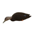 thumbnail image 6 of Avian X AXF Flocked Full Body Rugged Black Ducks Fusion Pack, 12 Pack, 6 of 7