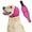 Magenta, variant on Snfy Quiet Ears for Dogs Comfort Calming Hoodie Dog Ear Covers for Noise & Anxiety Relief Ear Wraps for Dog Adjustable Dogs Ear Muffs Noise Protection Firework,Grooming and Force Drying