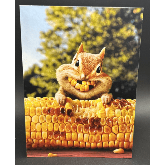 Just Because Greeting Card w/Envelope