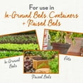 thumbnail image 2 of Whitney Farms Organic & Natural All Purpose Plant Food, For In-Ground or Containers, 4 lb., 2 of 10