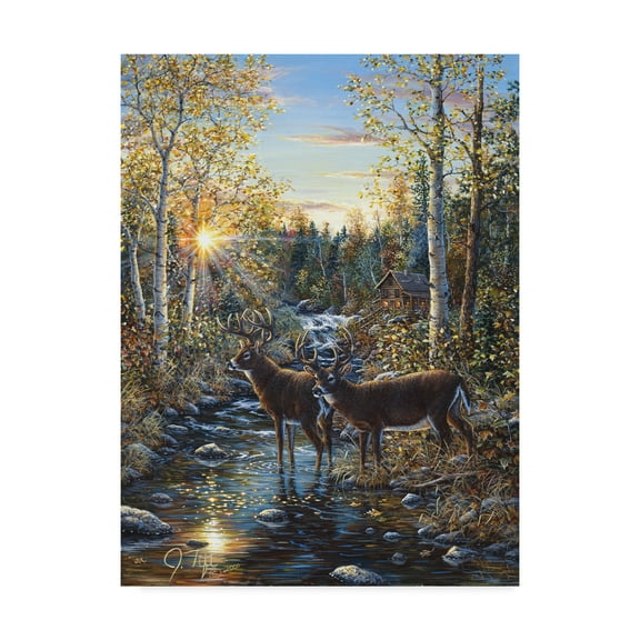 Jeff Tift 'Whitetail Deer' Canvas Art