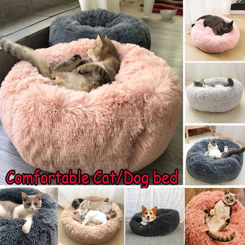 How Often Should I Clean My Dogs Bed