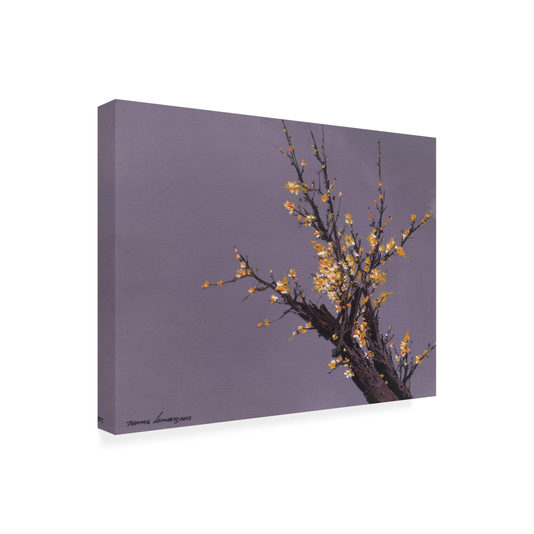 Canvas Wall Art - Thomas Leung 'Little Plum Flowers' Wall Art for Living Room, Bedroom, or Office Décor by Trademark Fine Art - 47 x 35 Inches