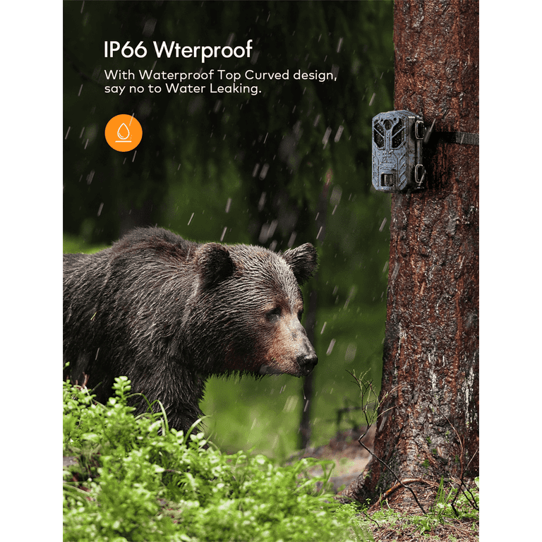 apeman wildlife camera 30mp