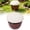 B, variant on Slug Traps For Garden 2026 New Garden Snail Slug Trapping Box,Reusable Plastic Snails Traps,SnailCage Slugs House for for Garden Farm,Friendly to Catch Snails Catcher,Gardeners Gift