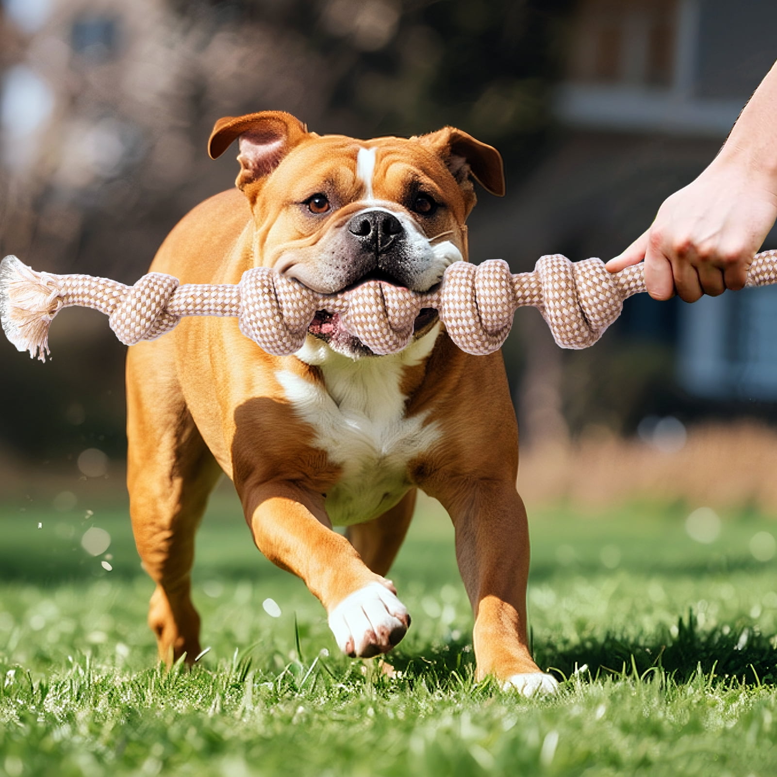 Easy Joy 4pcs Rope Dog Toys for Aggressive Chewers Indestructible Tug of War Dog Toy for Large Dog