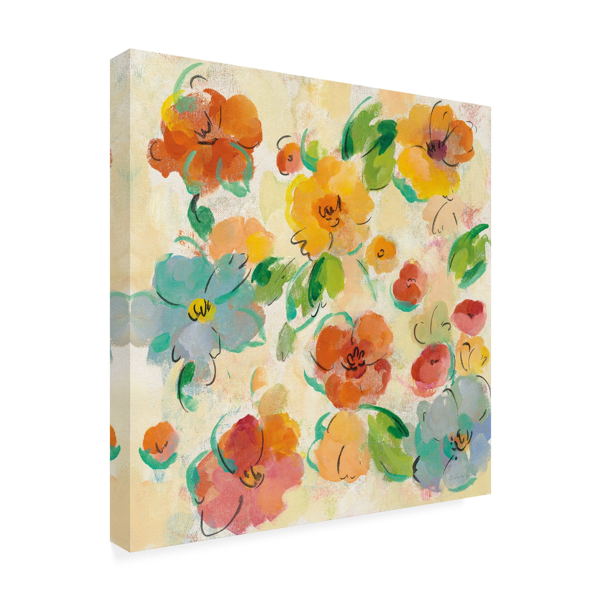 Trademark Fine Art 'Playful Floral Trio III' Canvas Art by Silvia Vassileva